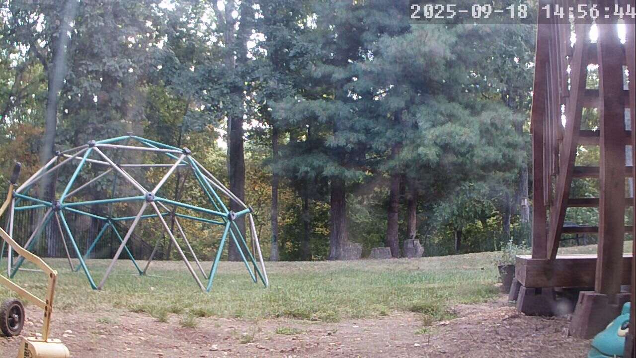 Our backyard